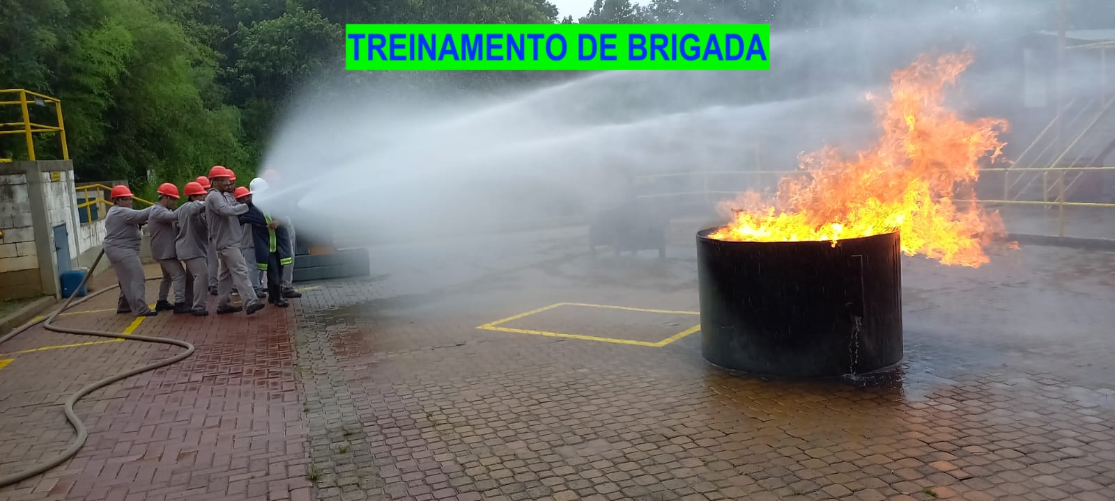 WhatsApp Image 2023-11-27 at 09.35.10.jpeg